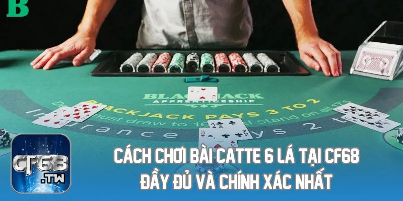 Cách Chơi Bài Catte 6 Lá Tại CF68 Đầy Đủ Và Chính Xác Nhất